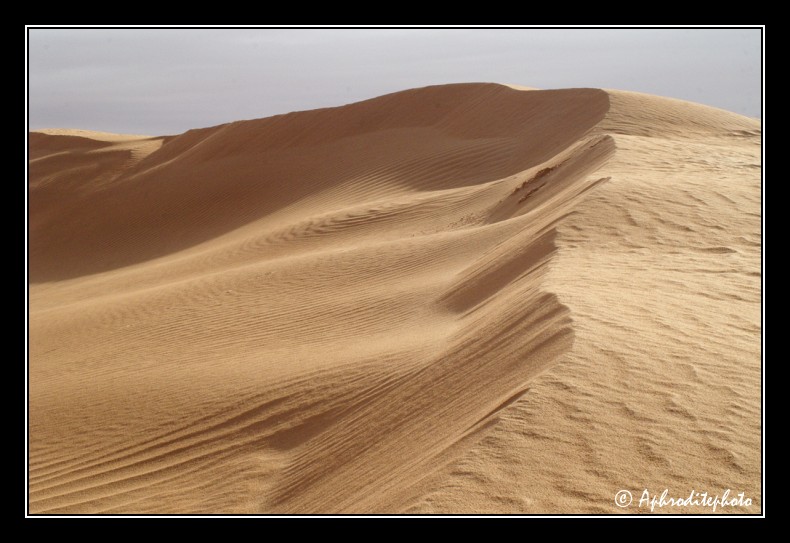 081 Du sable, du sable et encore du sable a plus en finir